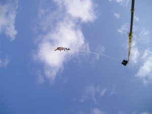 ile kosztuje skok na bungee